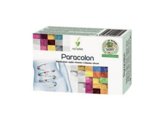 Paracolon