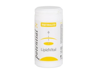 Lipidvital