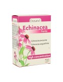Echinacea