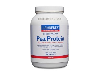 Proteína de guisante