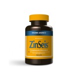 ZinSeis