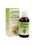 Vid Roja (Vitis Vinifera)