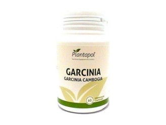 Garcinia Cambogia