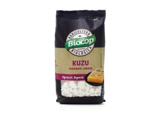 Kuzu