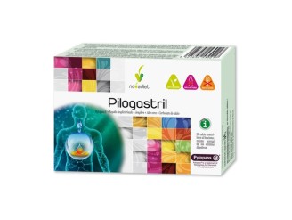 Pilogastril