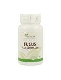 Fucus