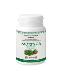 Moringa sistema inmune