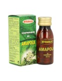 Amapola