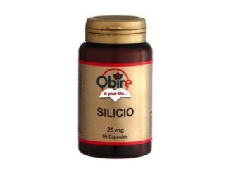 Silicio