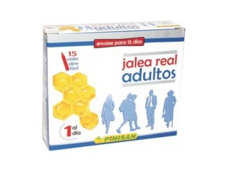 Jalea Real Adultos