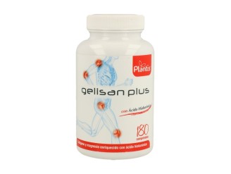 Gelisan Plus