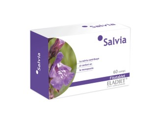 Salvia