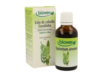 Equisetum Arvense (Cola de Caballo)