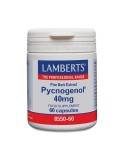 Pycnogenol