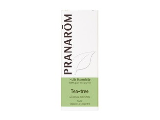 Aceite Esencial Árbol de Té