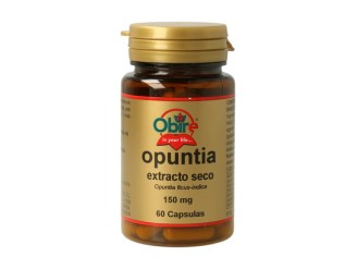 Opuntia