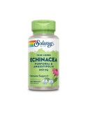 Echinacea