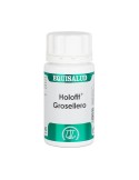 Grosellero Holofit