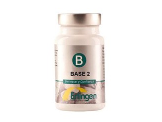 Base 2