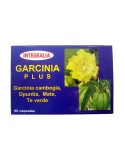 Garcinia Plus