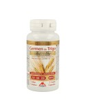 Germen de Trigo
