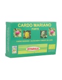 Cardo Mariano Forte