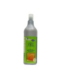 Champú de Miel
