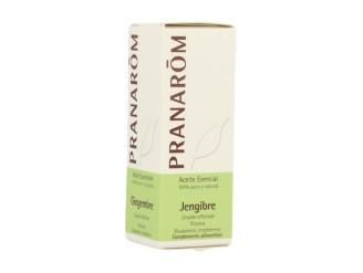 Aceite Esencial de Rizoma de Jengibre