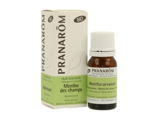 Aceite esencial de Menta de Campo