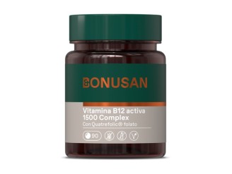 Coenzima B12