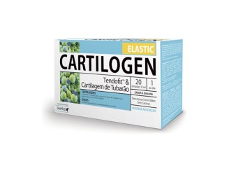 Cartilogen Elastic