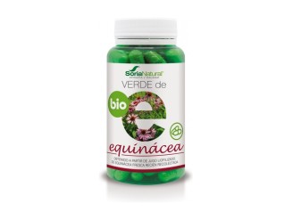 Verde equinácea sistema inmune