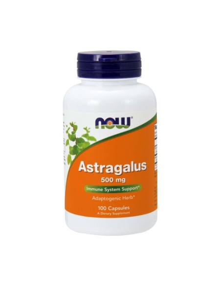 Astrágalo 500 mg 100 cápsulas (500mg) NOW Foods