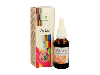 Artiul