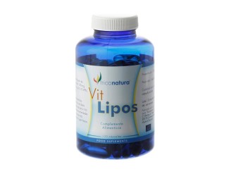 Vit lipos