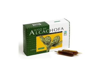 Alcachofa