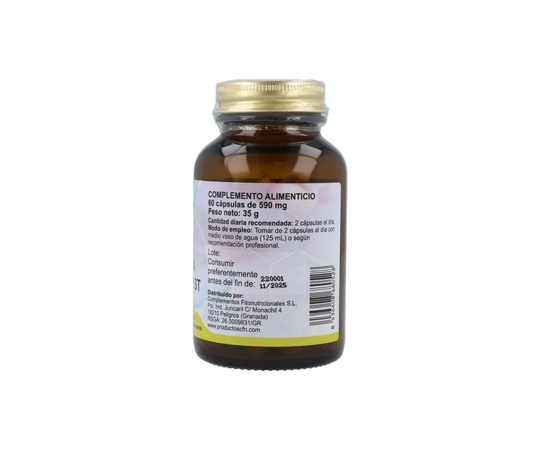 Gymnema Sylvestre St 60 cápsulas de 590mg Cfn