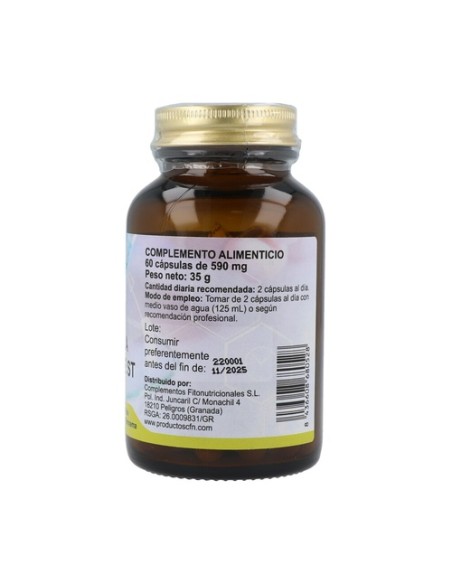 Gymnema Sylvestre St 60 cápsulas de 590mg Cfn