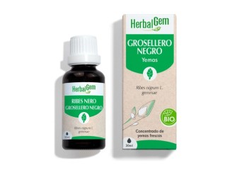 Grosellero negro gotas Bio