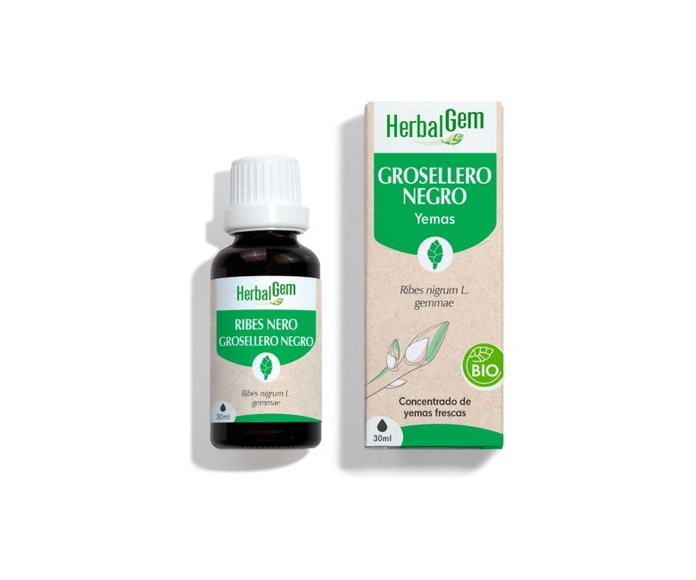 Grosellero negro gotas Bio 30 ml Herbalgem
