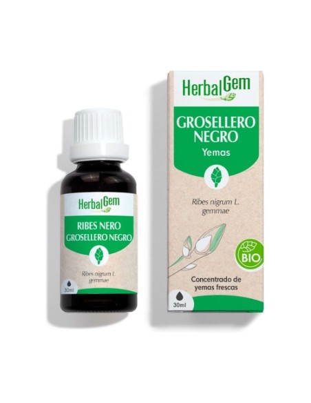 Grosellero negro gotas Bio 30 ml Herbalgem