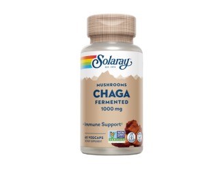 Chaga fermentada 500 mg