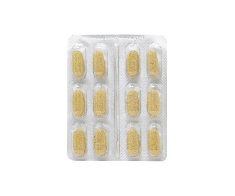 Urogreen tracto urinario sano para perros 48 comprimidos DR GREEN