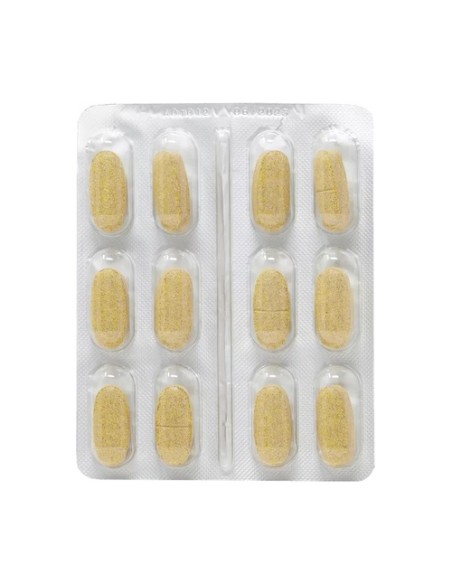 Urogreen tracto urinario sano para perros 48 comprimidos DR GREEN