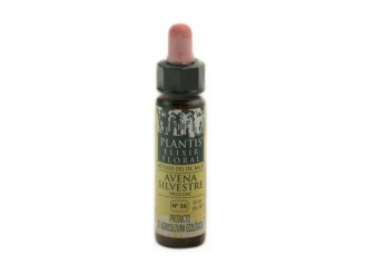 Flores De Bach Avena Sil-36 Elixir Floral Eco