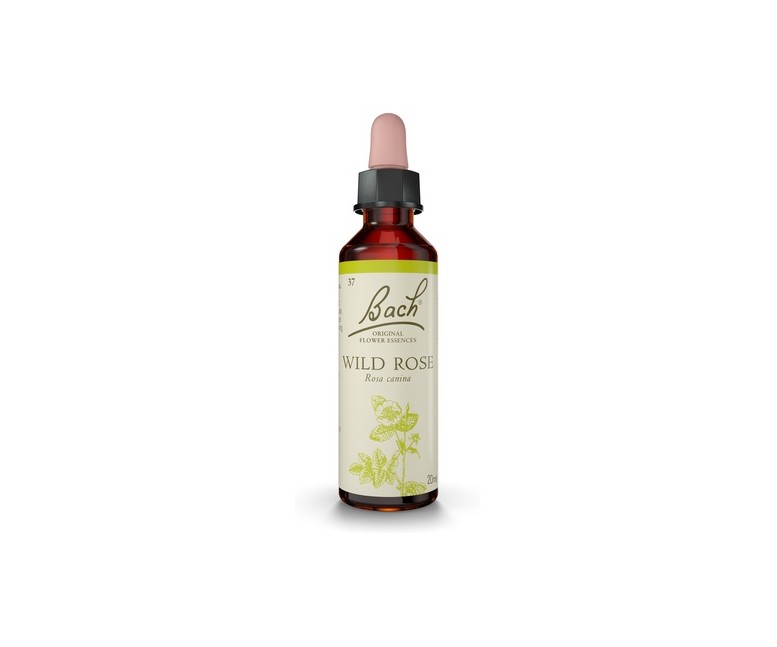 Flores de Bach Wild Rose 20 ml de elixir floral Bach Original