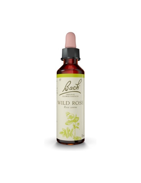 Flores de Bach Wild Rose 20 ml de elixir floral Bach Original