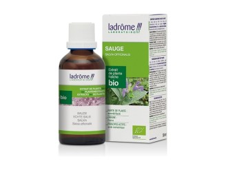 Extracto de planta fresca de salvia