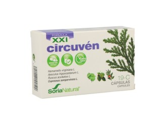 19 C Circuven (Fórmula XXI)