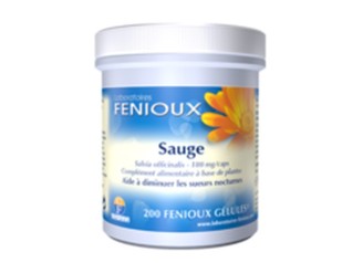 Salvia (Sauge)